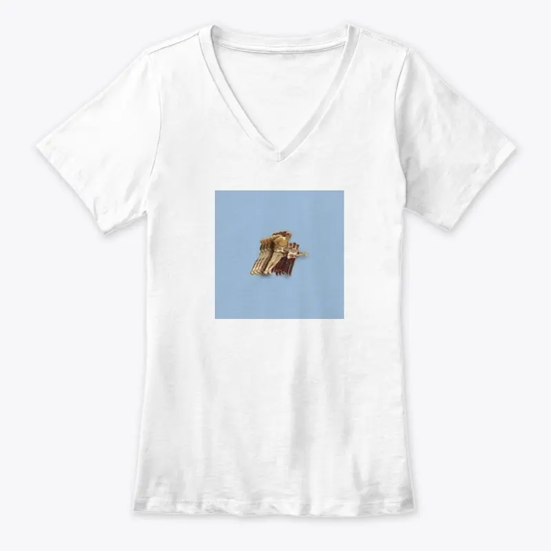 Vulfpeck Merch